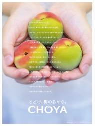 CHOYA企業広告2016／日経新聞